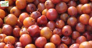 నిండుగా పోషకాలు