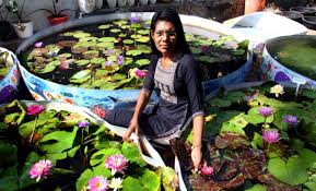 కాలువ పూల వ్యాపారం