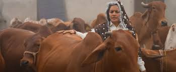 మహిళలకు ఆదర్శం