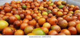 రోజు తినండి చాలా మంచివి