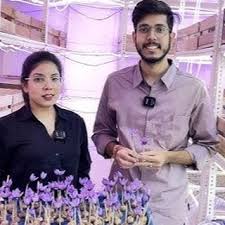 కుంకుమ సాగుతో ఆదాయం