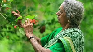 అడవిని సృష్టించిన అమ్మ