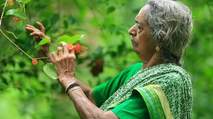 అడవిని సృష్టించిన దేవకీ అమ్మ